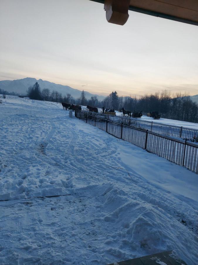Domek Zakopane Tatrzanski Kacik Apartzakop Exterior foto