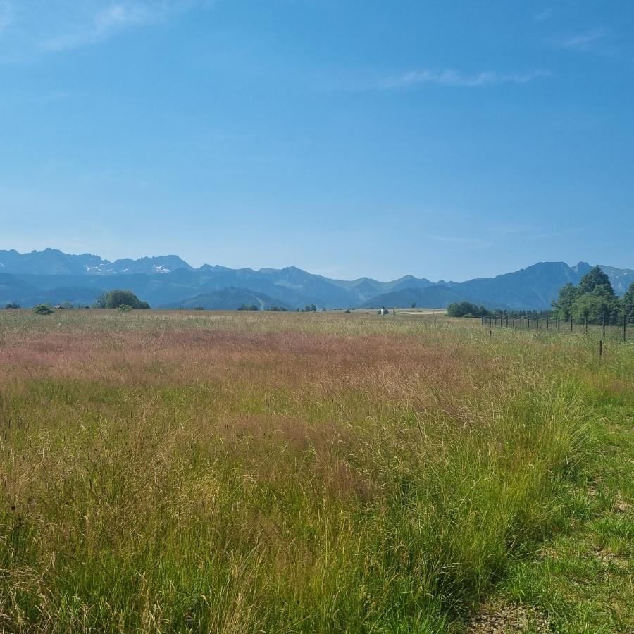 Domek Zakopane Tatrzanski Kacik Apartzakop Exterior foto